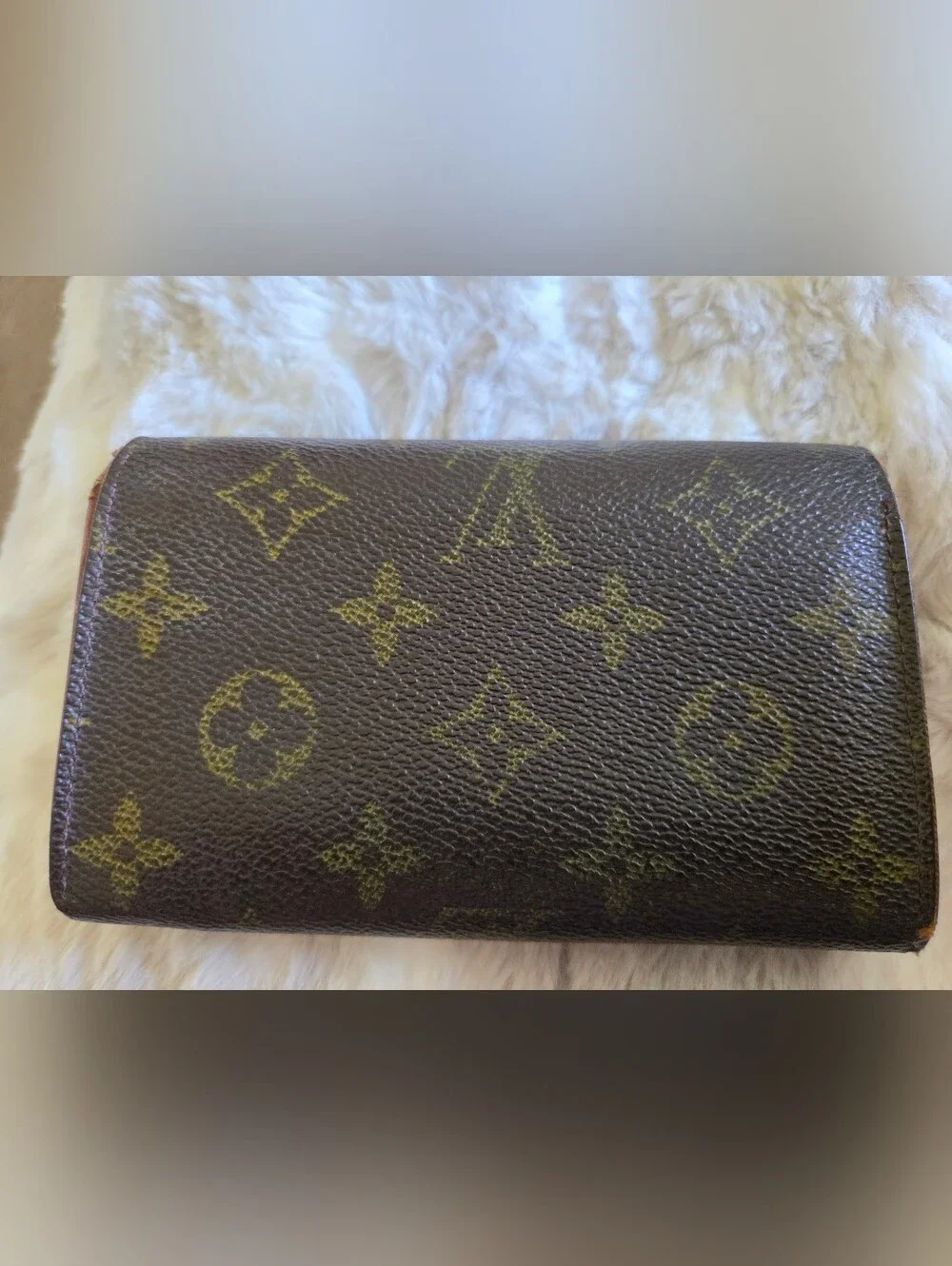 Vintage Louis Vuitton Project Wallet